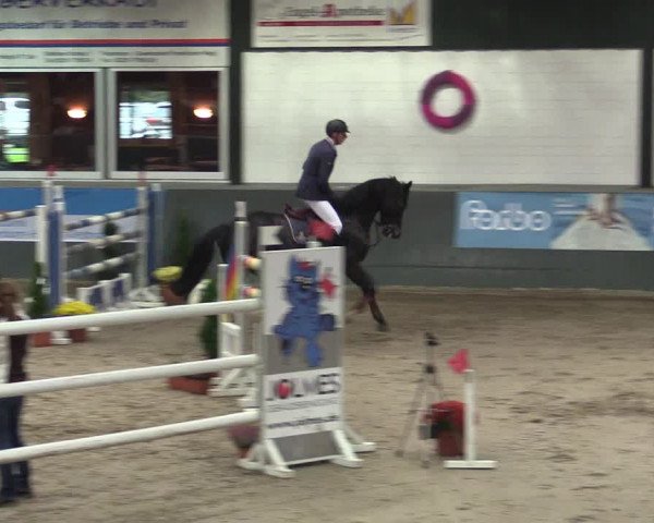Reitturnier Salzkotten 2015