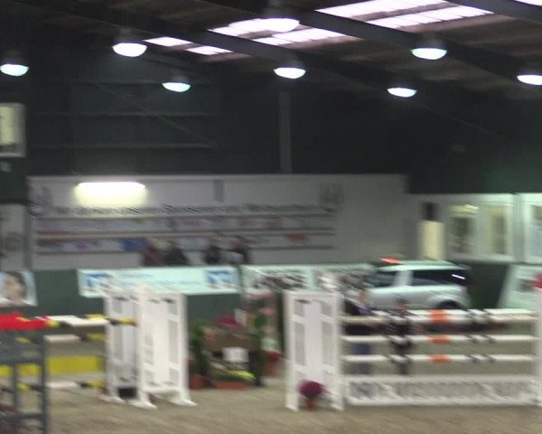 Reitturnier Salzkotten 2015