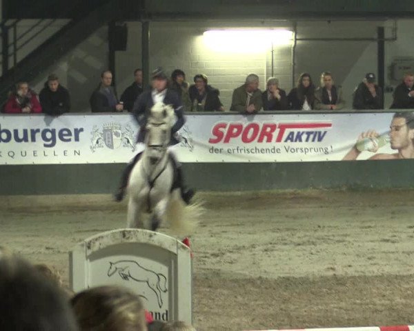 Reitturnier Salzkotten 2015
