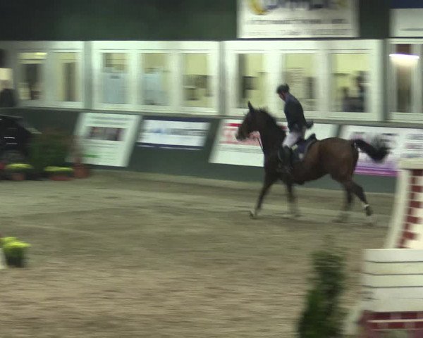 Reitturnier Salzkotten 2015