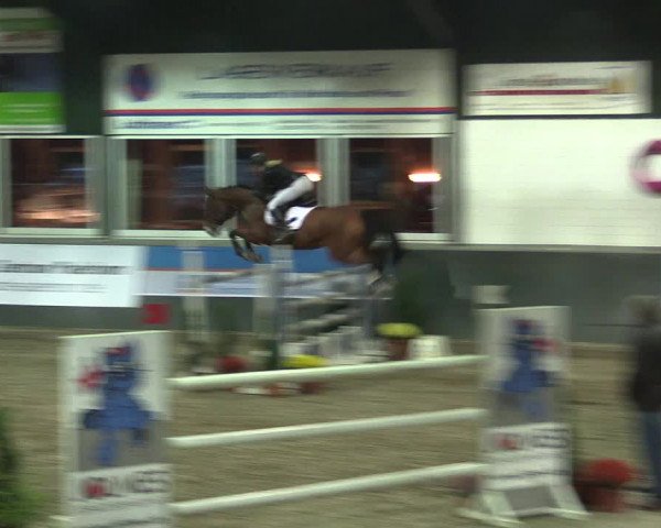 Reitturnier Salzkotten 2015