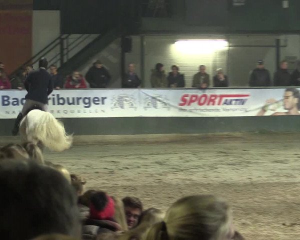 Reitturnier Salzkotten 2015