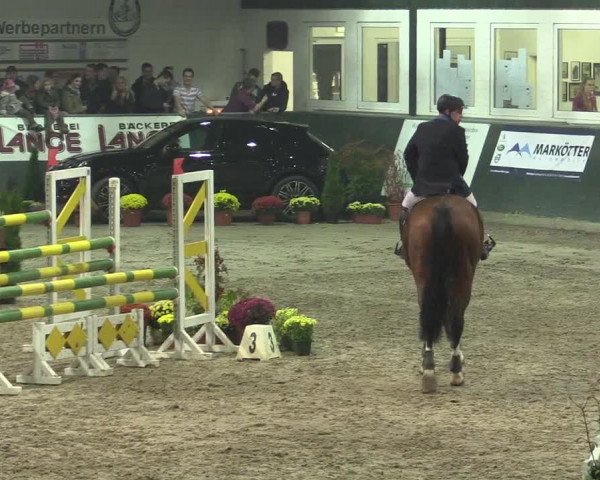 Reitturnier Salzkotten 2015