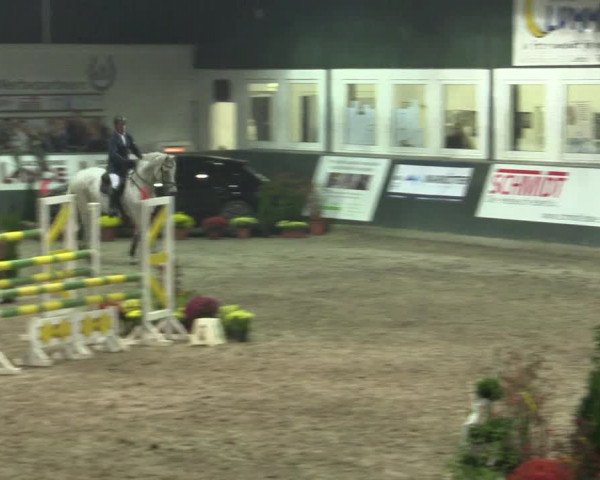 Reitturnier Salzkotten 2015