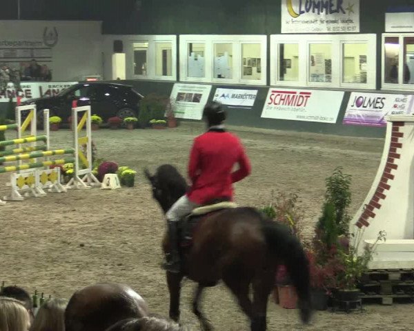 Reitturnier Salzkotten 2015