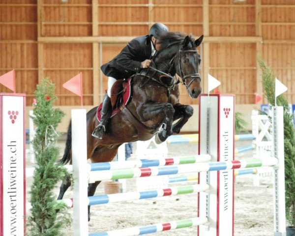 jumper Arion Vom Kappelhof (Württemberger, 1999, from Assistent)