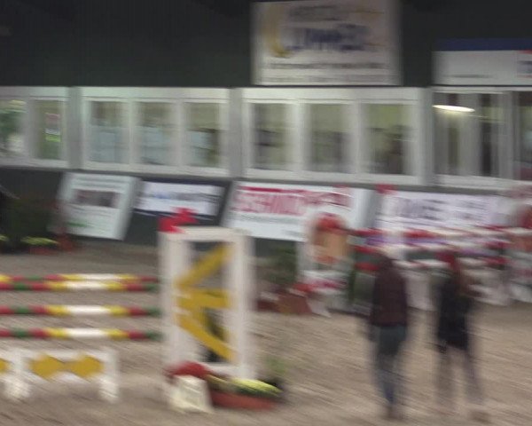 Reitturnier Salzkotten 2015