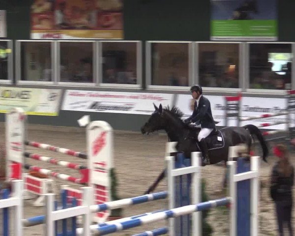 Reitturnier Salzkotten 2015