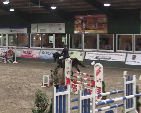 Reitturnier Salzkotten 2015
