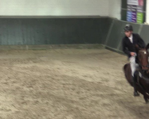Reitturnier Salzkotten 2015