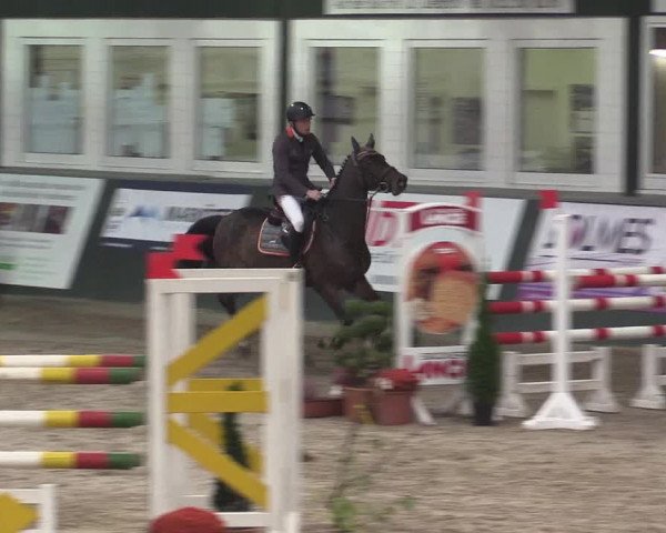 Reitturnier Salzkotten 2015