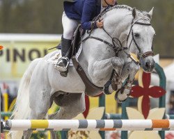 stallion Gainsbour Dc (Belgian Warmblood, 2006, from Dryden)