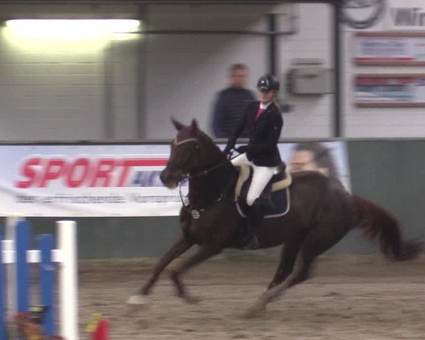 Reitturnier Salzkotten 2015