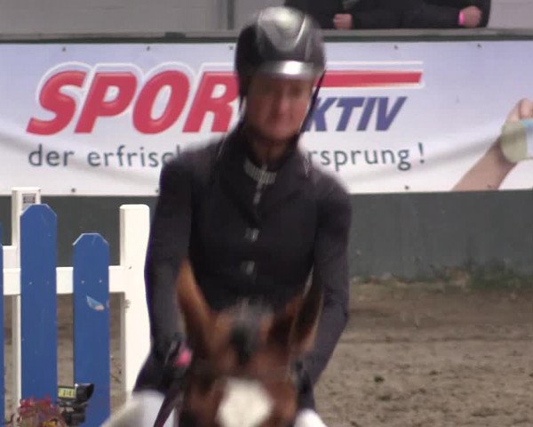 Reitturnier Salzkotten 2015
