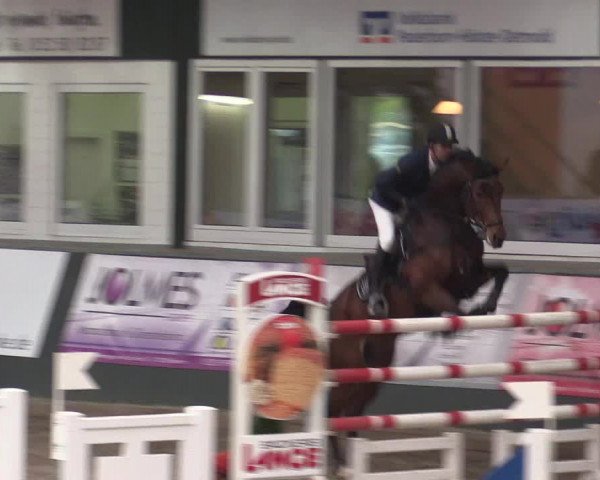 Reitturnier Salzkotten 2015