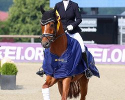 dressage horse Van Victorio BD (Oldenburg, 2014, from Van Vivaldi)