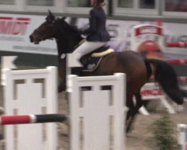 Reitturnier Salzkotten 2015