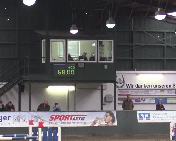 Reitturnier Salzkotten 2015