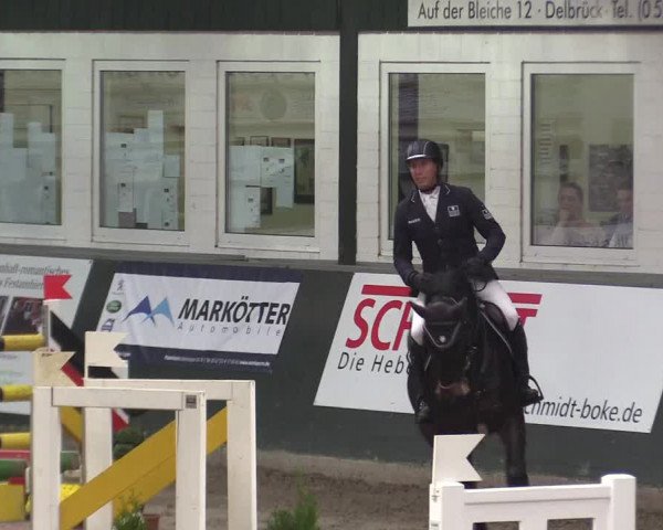 Reitturnier Salzkotten 2015