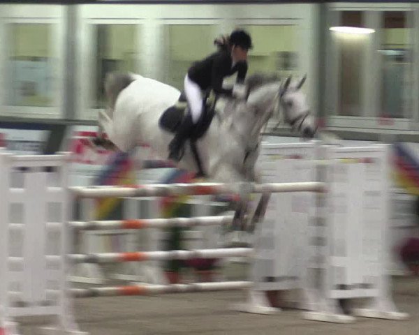 Reitturnier Salzkotten 2015