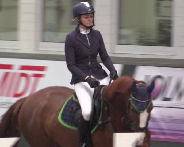 Reitturnier Salzkotten 2015