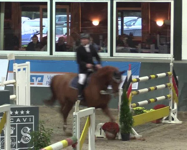 Reitturnier Salzkotten 2015