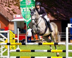 jumper Good Jump 3 (Hanoverian, 2013, from Galan ShA)