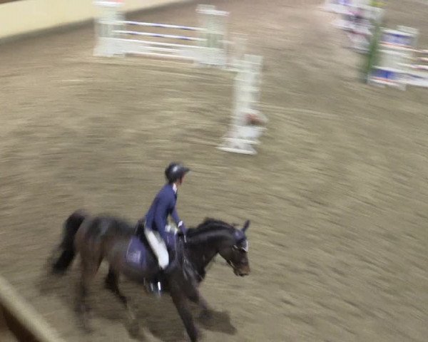 Reitturnier Hövelhof 2015