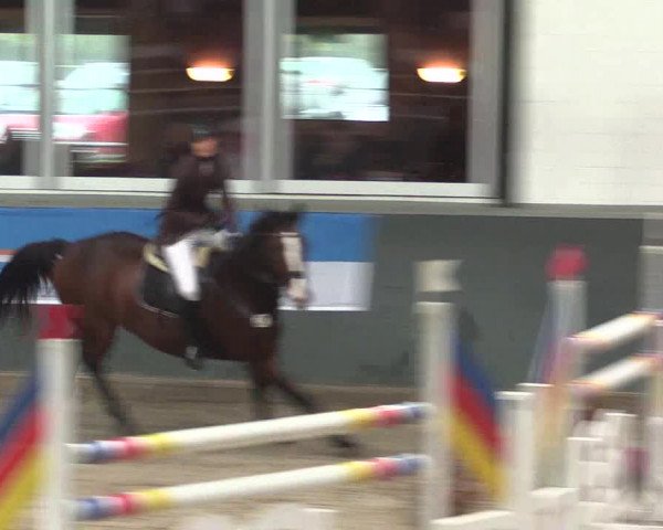 Reitturnier Salzkotten 2015