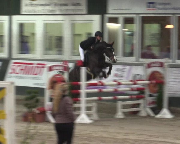 Reitturnier Salzkotten 2015