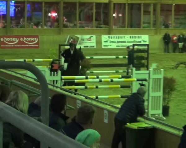 Reitturnier Köln-Leverkusen 2015