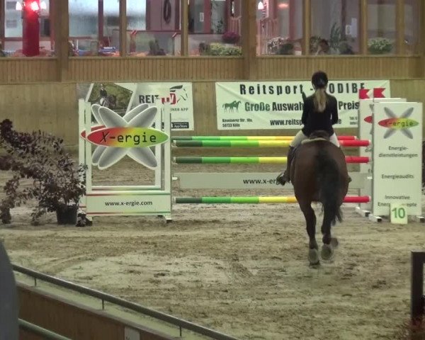 Reitturnier Köln-Leverkusen 2015