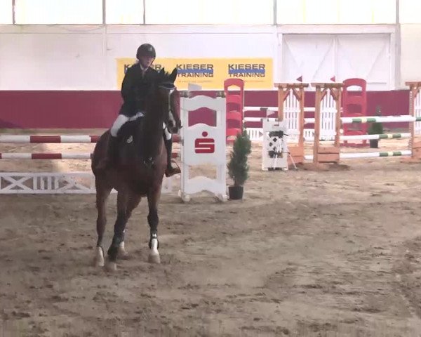 Reitturnier Trier - Hofgut Monaise 2015