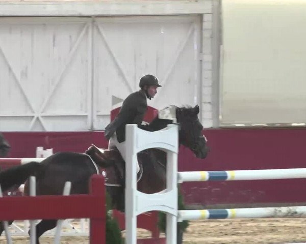 Reitturnier Trier - Hofgut Monaise 2015