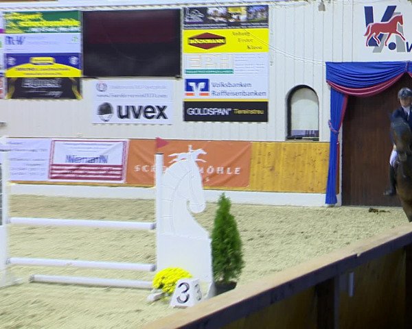 Hallenchampionat Vechta 2015