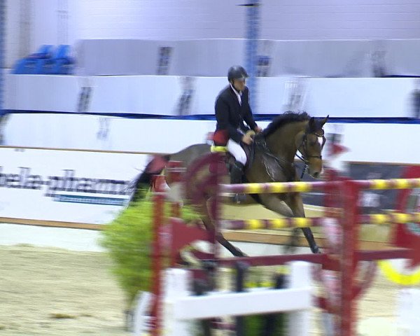 Hallenchampionat Vechta 2015