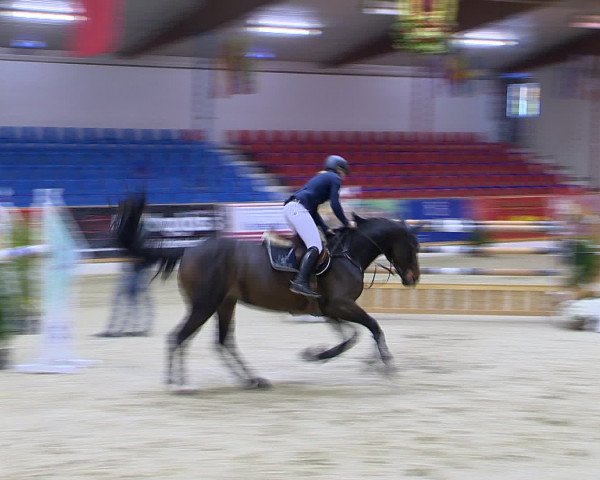 Hallenchampionat Vechta 2015