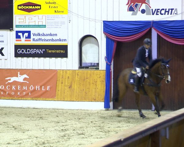 Hallenchampionat Vechta 2015