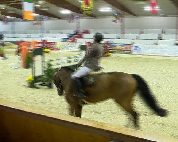 Hallenchampionat Vechta 2015