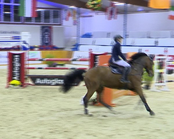 Hallenchampionat Vechta 2015