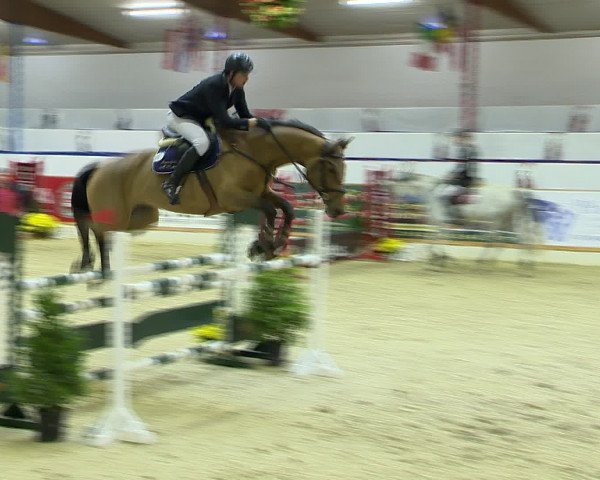 Hallenchampionat Vechta 2015
