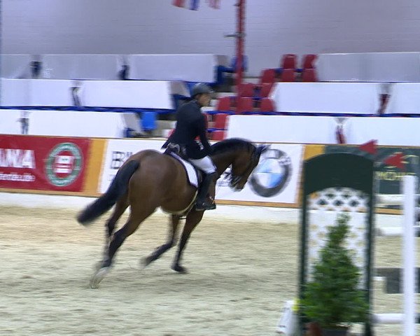 Hallenchampionat Vechta 2015
