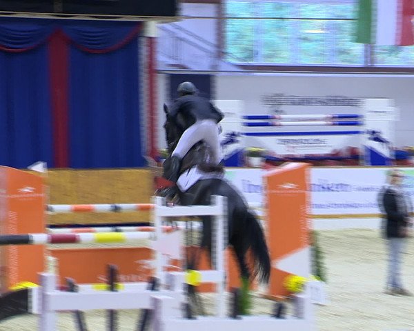 Hallenchampionat Vechta 2015