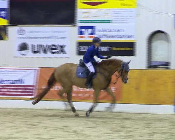 Hallenchampionat Vechta 2015