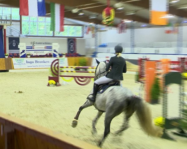 Hallenchampionat Vechta 2015