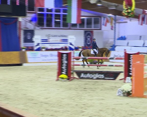 Hallenchampionat Vechta 2015