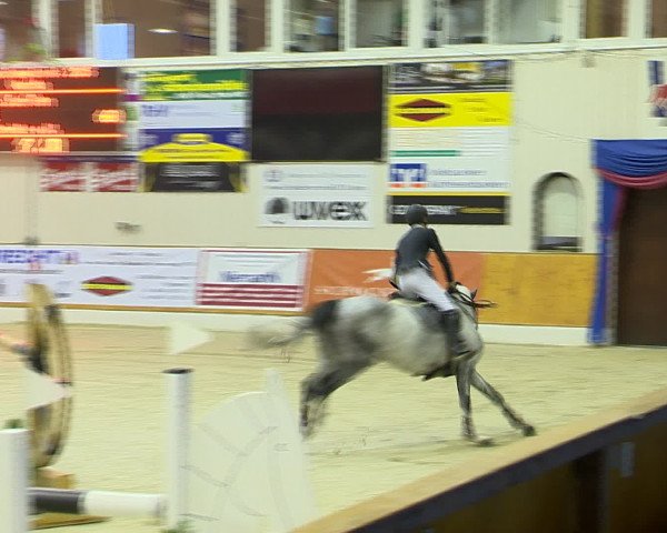 Hallenchampionat Vechta 2015