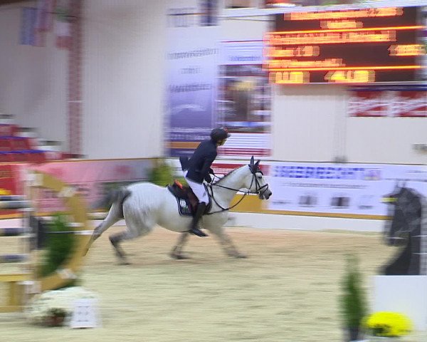 Hallenchampionat Vechta 2015