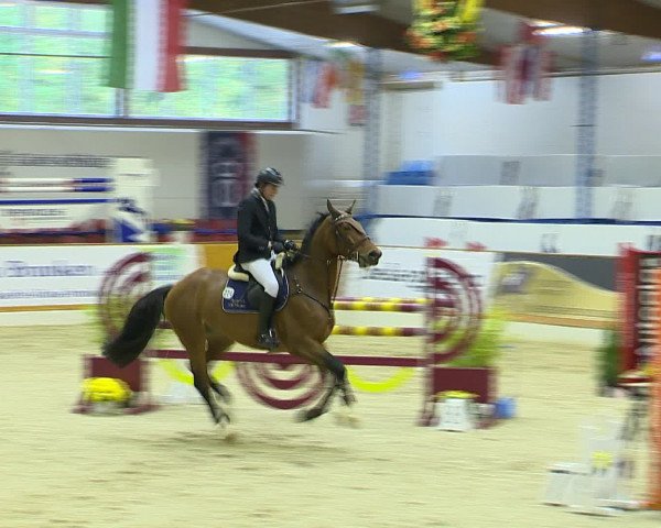 Hallenchampionat Vechta 2015