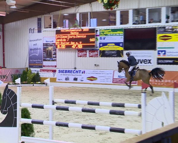 Hallenchampionat Vechta 2015